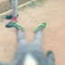 Police Conclude Room Trial For Sergeant Who Allegedly Shot Commercial Motorcyclist In Osogbo