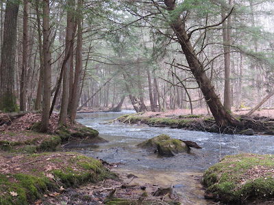 misty creek