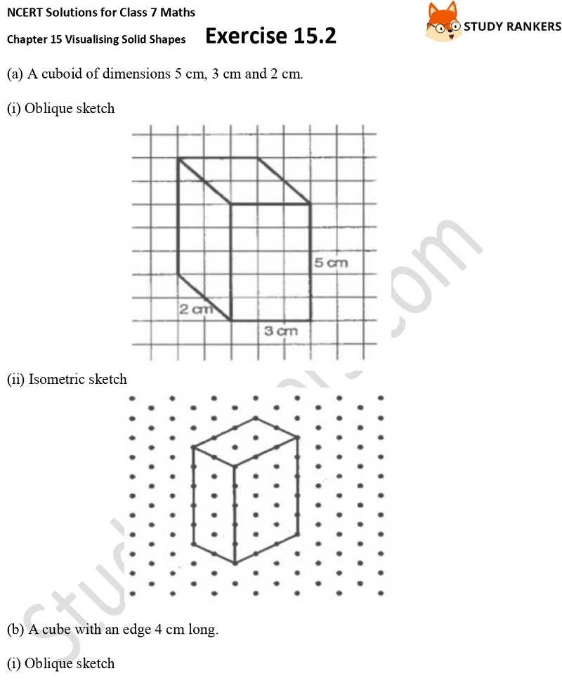 NCERT Solutions for Class 7 Maths Chapter 15 Visualising Solid Shapes Exercise 15.2 Part 5