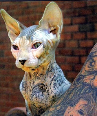 bad tattoos cat