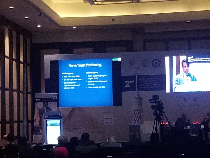 2nd Middle-Eastern Society for Stereotactic and Functional Neurosurgery Conference, Cairo 2019.