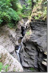 Glen Creek cutting the Gorge