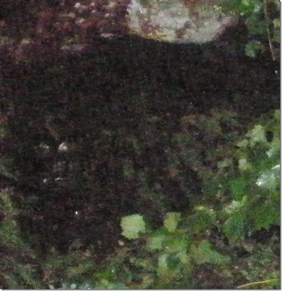 P6300231