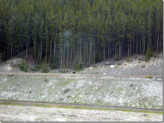 P1150434