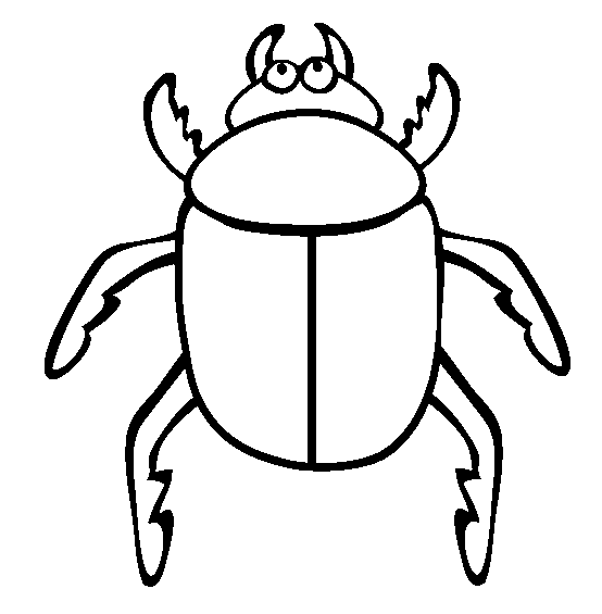 Beetle Insect Coloring Pages To Printable