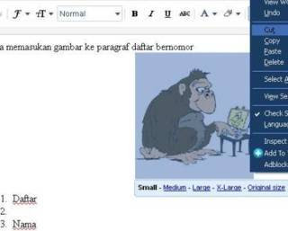 trik menulis artikel gambar blog