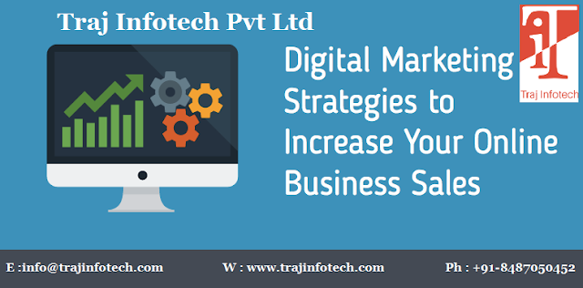 Digital Marketing Strategies - Traj Infotech