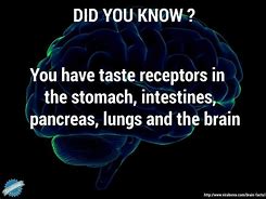 You must read this; 12 Amazing Facts about the Human Brain