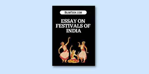 Essay on Festivals of India