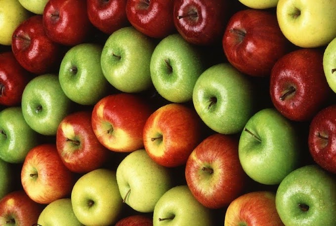 comer maçãs todos os dias: cientistas aconselham