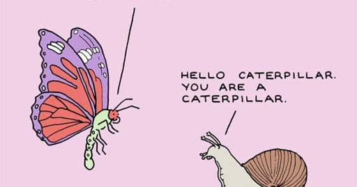 The Randy Report: Meme Of The Day: Transphobia