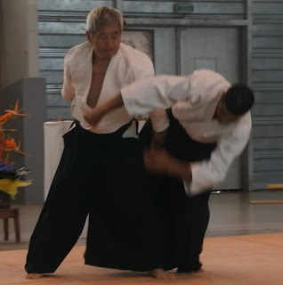 Tecnicas de Aikido