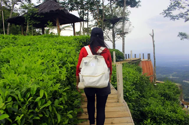 Dua Tempat Wisata Terkenal di Samigaluh, Kulon Progo, Jogja