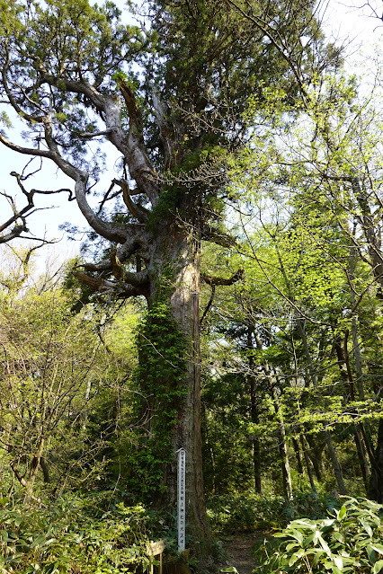 鳥取県東伯郡琴浦町山川　船上神社