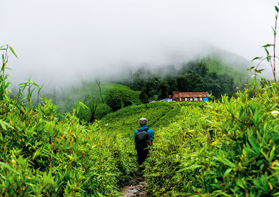 The Striking Landscape of Dzukou Valley in Manipur