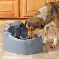 Water Fountain for Pets