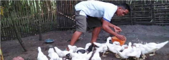 esa Pohkonyal Kecamatan Pangkur Ngawi