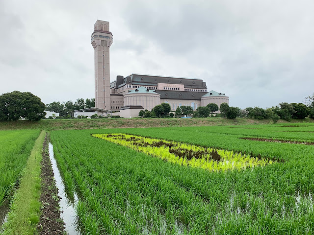 こしがや田んぼアート2019キン肉マンとラグビー日本代表の夢のタッグ（7/7）