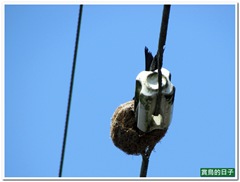 20110529_142351_038_Jhihtan
