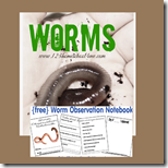 1st grade worm observatino notebook