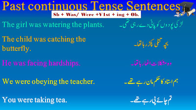 Past Continuous Tense Sentences in English and Urdu