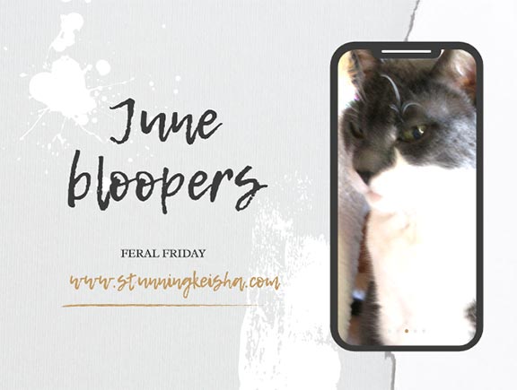 Feral Friday: June Bloopin'