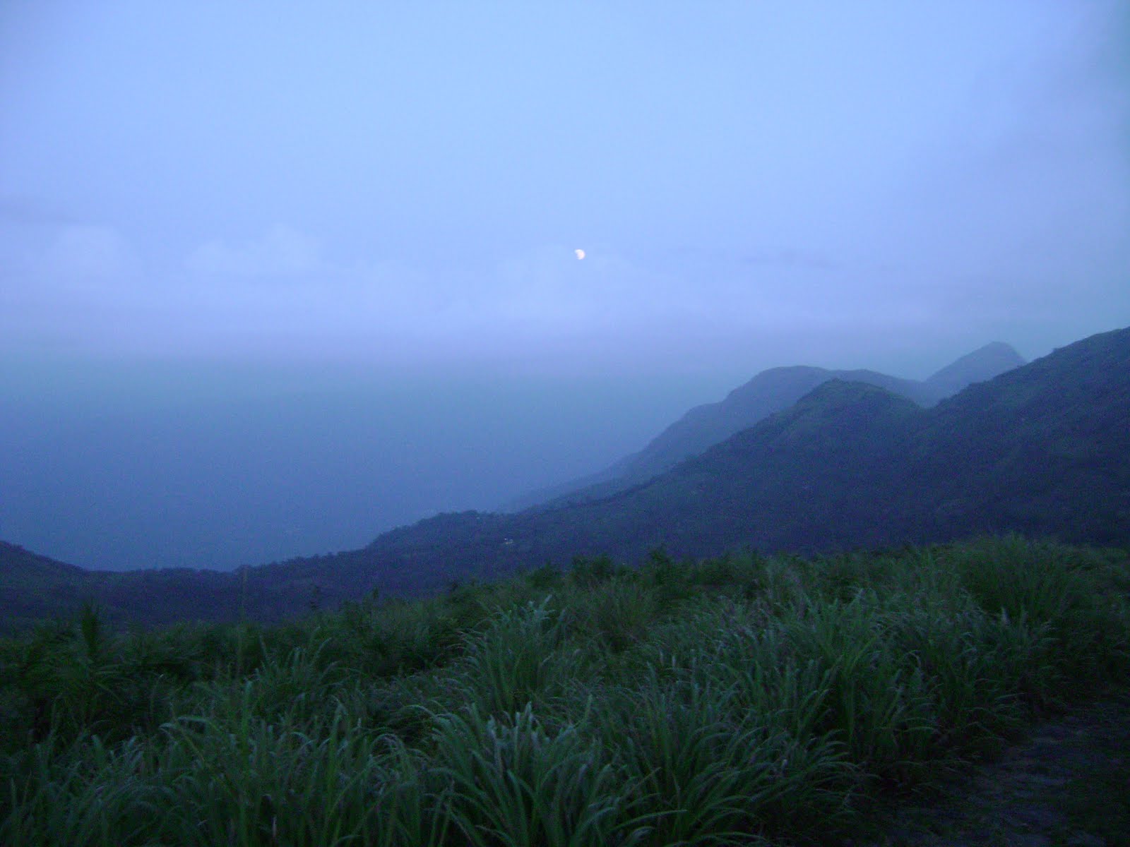 Best Places to Visit in Kerala