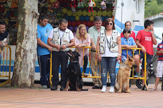 Los perros de la asociación GT Wurssy causan admiración en las fiestas de El Regato