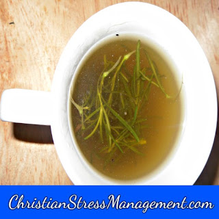 rosemary tea for natural body wash recipe