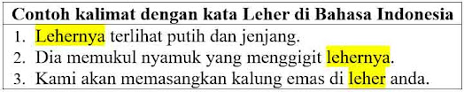 25 Contoh kalimat leher di bahasa Indonesia dan Pengertiannya