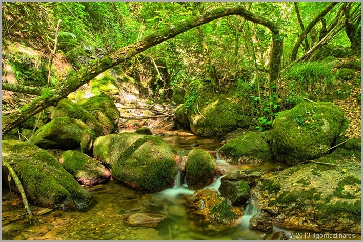 DSC_7545-HDR(3)