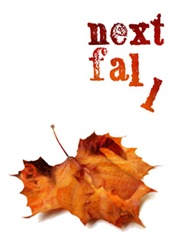 NF main image