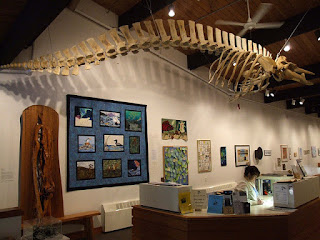 Interior of the Pratt Museum showing an animal skeleton suspended from the ceiling.