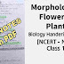 Morphology of Flowering Plants Class 11 Notes PDF