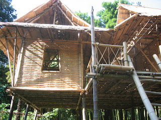 bambudan yapılmış ev