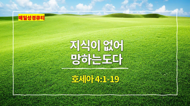 호세아 4장 1절-19절, 지식이 없어 망하는도다 - 매일성경 큐티 새벽예배설교문