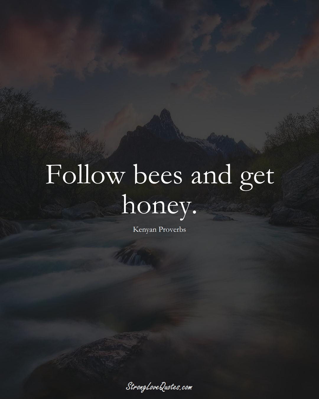Follow bees and get honey. (Kenyan Sayings);  #AfricanSayings
