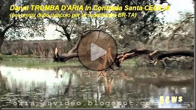 tromba_daria2009