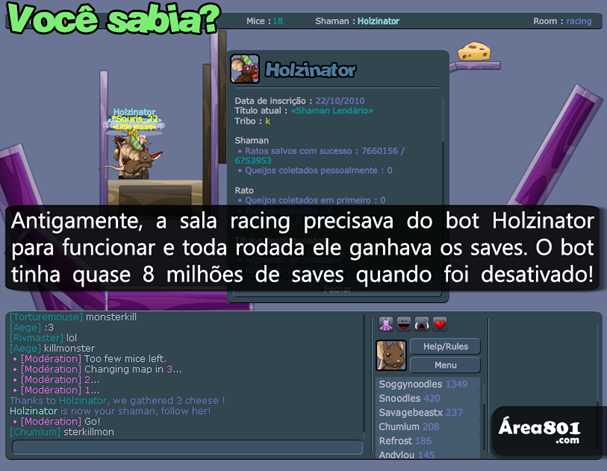 bot-racing
