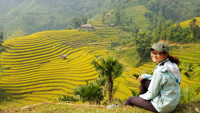 Ruộng bậc thang Bản Liền