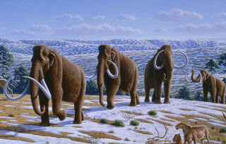 Woolly Mammoth Wallpapers