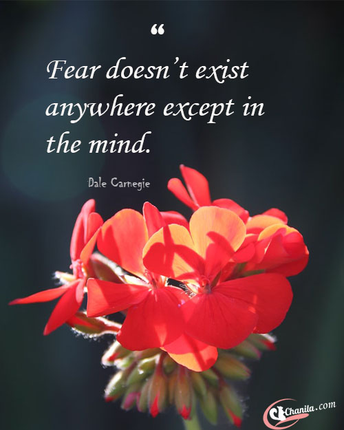 Quotes on Fear, Fear quotes, best Fear quotes, quotes about Fear, best teaching quotes, life quotes, best quotes, motivational quotes, amazing Fear quotes, Amazing quotes, amazing teaching quotes.good Fear quotes, inspirational quotes, quotes, all Fear quotes, Deep quotes, deep Fear quotes, emotional quotes, best emotional quotes.encouraging quotes, Inspirational quotes. Freedom quotes, future quotes, focus quotes.good quotes. Life Changing Quotes, life quotes, quotes to get success. Love quotes, relationship quotes,famous quotes