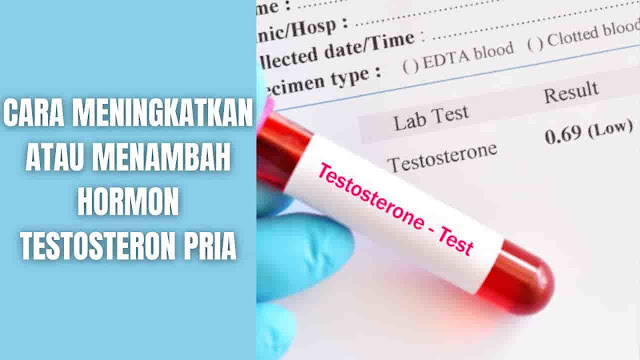 Cara Meningkatkan Hormon Testosteron Pria Untuk Mengatasi Kekurangan Hormon Ini Secara Alami Apa Itu Testosteron ? Testosteron adalah hormon yang diproduksi oleh gonad (organ seks). Lebih spesifik lagi pada testis pria (AMAB) dan ovarium wanita (AFAB) menghasilkan testosteron. Kelenjar adrenal juga menghasilkan hormon dehydroepiandrosterone (DHEA), yang akan diubah oleh tubuh menjadi testosteron dan estrogen.  Testosteron adalah adrogen utama, yang artinya merangsang perkembangan karakteristik laki-laki. Tingkat testosteron secara alami jauh lebih tinggi pada pria (AMAB) daripada wanita (AFAB).    Peran atau Fungsi Testosteron Testosteron adalah hormon seks utama pada pria dan memainkan sejumlah peran penting diantaranya:  Memperdalam suara selama masa pubertas Munculnya rambut wajah dan kemaluan mulai saat pubertas, di kemudian hari mungkin berperan dalam kebotakan Ukuran dan kekuatan otot Pertumbuhan dan kekuatan tulang Dorongan seks (libido) Produksi sperma Perkembangan penis dan testis    Kekurangan Hormon Testosteron Dapat Menyebabkan Tingkat testosteron yang lebih rendah dari normalnya akan menimbulkan gejala pada pria. Kondisi ini disebut hipogonadisme pria. Terdapat dua jenis hipogonadisme pria:  Hipogonadisme pria klasik (konginetal atau didapat) adalah ketika kadar testosteron rendah disebabkan oleh kondisi medis yang mendasarinya atau kerusakan pada testis, kelenjar pituitari, atau hipotalamus. Hipogonadisme pria onset lambat (late-onset) adalah ketika terjadinya penurunan kadar testosteron terkait dengan penuaan umum dan kondisi yang dengan usia, terutama obesitas dan diabetes tipe 2.  Kekurangan Testosteron Pada Masa Pubertas Untuk anak laki-laki, rendahnya kadar testosteron selama pubertas dapat mengakibat berikut:  Pertumbuhan tinggi badan melambat, tetapi lengan dan kaki mereka mungkin terus tumbuh tidak proporional dengan bagian tubuh lainnya. Berkurangnya perkembangan rambut kemaluaan Mengurangi pertumbuhan penis dan testis Kurang memperdalam suara Kekuatan dan daya tahan yang lebih rendah dari normal  Kekurangan Testosteron Pada Pria Dewasa Untuk pria dewasa, rendahnya kadar testosteron dapat mengakibat berikut:  Pengurangan massa otot yang tidak dapat dijelaskan dan peningkatan lemak tubuh Kehilangan rambut tubuh Suasana hati tertekan Disfungsi ereksi Gairah seks rendah Osteoporosis (tulang lemah) Kesulitan dengan konsentrasi dan memori    Cara Meningkatkan Hormon Testosteron Pria Jika mengalami kekurangan kadar hormon testosteron, ada beberapa cara alami yang telah terbukti dapat meningkatkan kadar testosteron:  Olahraga Olahraga adalah cara paling efektif untuk mencegah banyak penyakit yang berhubungan dengan gaya hidup. Melakukan olahraga dapat meningkatkan kadar testosteron. Efek pada kadar testoteron dapat bervariasi berdasarkan beberapa faktor, termasuk jenis olahraga dan intensitas latihan.  Konsumsi Makan Protein, Lemak, dan Karbohidrat Yang Cukup Mengkonsumsi makanan berprotein yang cukup dapat membantu menjaga kadar testoteron yang sehat. Mengkonsumsi lemak sehat yang cukup dapat membantu mendukung kadar testosteron dan keseimbangan hormon. Beberapa penelitian menunjukkan bahwa diet rendah lemak sebenarnya bisa menurunkan kadar testosteron. Maka dari itu keseimbangan protein, lemak, dan karbohidrat yang sehat dapat membantu mengoptimalkan kadar hormon dan mendukung kesehatan secara keseluruhan.  Menurunkan Stres dan Kadar Kortisol Stres jangka panjang dapat meningkatkan kadar hormon kortisol. Hal ini dapat mengurangi hormon testoteron. Kedua hormon ini sering bekerja dengan cara seperti jungkat-jungkit: saat yang satu naik, yang lain turun.  Peningkatan stres dan kortisol yang tinggi dapat meningkatkan asupan makan, penambahan berat badan, dan penyimpanan lemak tubuh berbahaya di sekitar organ tubuh. Sehingga perubahan ini dapat berdampak negatif pada kadar testoteron. Maka sangat penting mengelola stres agar kadar kortisol tidak meningkat.  Berjemur Di Bawah Sinar Matahari Vitamin D adalah mikronutrien yang memainkan peran kunci dalam banyak aspek kesehatan. Kadar vitamin D yang rendah membuat kadar hormon testosteron yang lebih rendah. Untuk menjaga kadar vitamin D yang sehat, cobalah untuk mendapatkan paparan sinar matahari secara teratur. Waktu berjemur yang baik untuk di indonesia kisaran waktu pukul 9 pagi dan menghentikan kegiatan berjemur pukul 10 pagi.  Tidur Nyenyak dan Berkualitas Tinggi Kualitas tider memiliki efek besar pada kadar hormon testosteron. Memiliki gangguan tidur dapat menurunkan kadar testosteron. Memiliki tidur yang nyenyak dan setidaknya 7 jam setiap malam, dapat meningkatkan kadar testosteron.  Menghindari Bahan Kimia Seperti Estrogen Pada tinggi terhadap bahan kimia seperti estrogen dapat memengaruhi kadar testosteron. Maka minimalkan paparan bisphenol-A (BPA) setiap hari, paraben, dan bahan kimia lain yang ditemukan di beberapa jenis plastik.  Memperhatikan Asupan Alkohol Alkohol dan testosteron memiliki hubungan yang kompleks. Maka memoderasi asupan alkohol adalah yang terbaik, karena konsumsi berlebihan dapat berdampak negatif pada kadar testosteron dan kesehatan medis.
