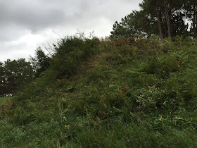 Hispania, Neixon celtic hill-fort   by E.V.Pita (2015)  http://archeopolis.blogspot.com/2015/09/hispania-nexion-celtic-hill-fort-castro.html  Castro de Neixón (Boiro)  por E.V.Pita (2015)
