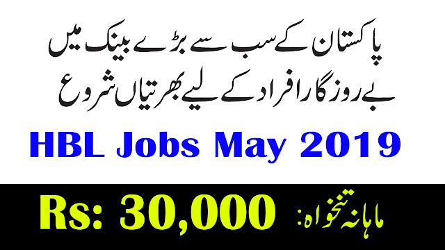 HBL Jobs May 2019 | 200+ Vacancies For Male / Female | Online Apply