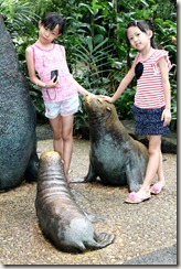 AIMG_0770