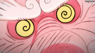 ワンピースアニメ 1049話 モモの助 大人 Momonosuke CV.下野紘 | ONE PIECE Episode 1049