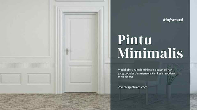 Model Pintu Rumah Minimalis