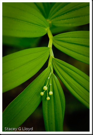 Blog_20100419_2