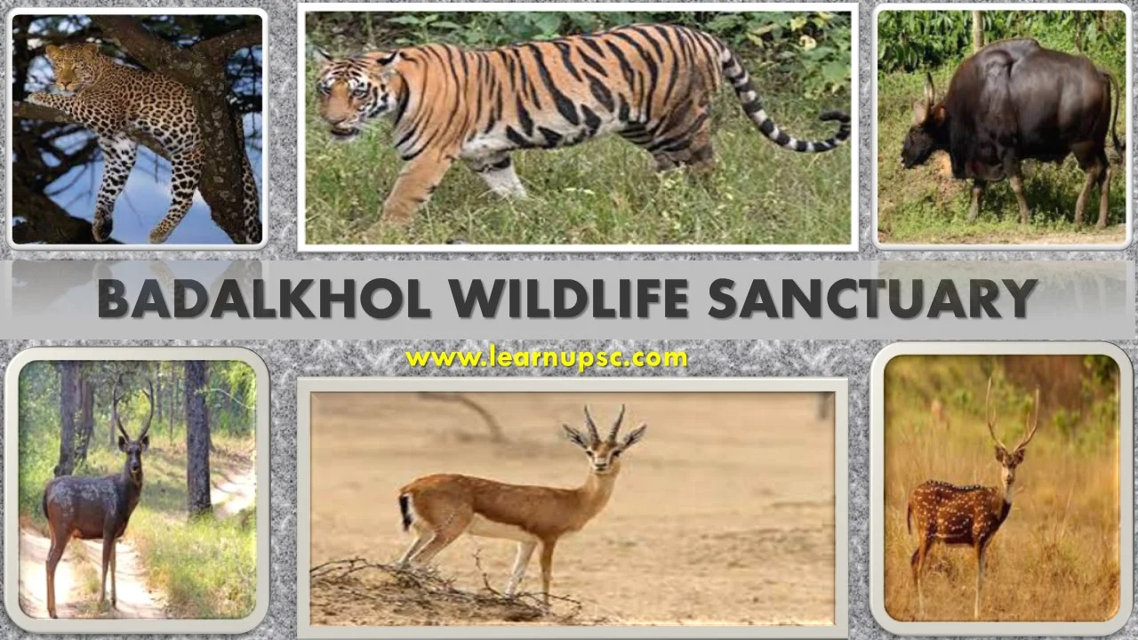 Badalkhol Wildlife Sanctuary